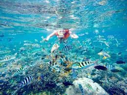 Snorkelling.jpg