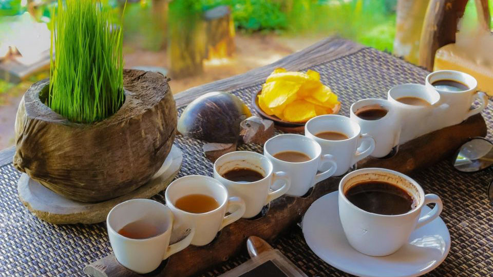 Ubud-Coffee-Plantation.jpg